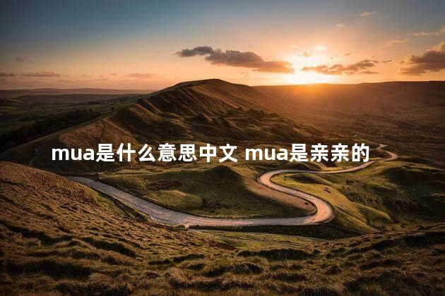 mua是什么意思中文 mua是亲亲的意思吗